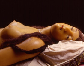 Sistema Museale Di Ateneo – La Specola