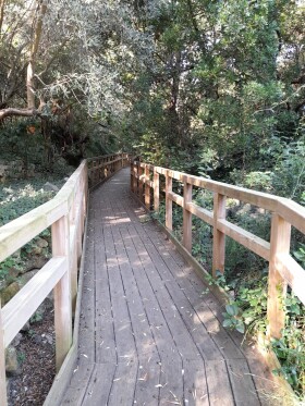 Museo di Storia Naturale del Mediterraneo