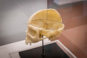 Museo Leonardiano di Vinci