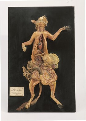 Museo della Fondazione Scienza e Tecnica