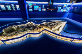 Sistema Museale di Ateneo – Museo di Geologia e Paleontologia