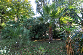 Sistema Museale di Ateneo – Orto Botanico