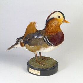 Museo della Fondazione Scienza e Tecnica