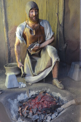 Museo di Storia Naturale del Mediterraneo