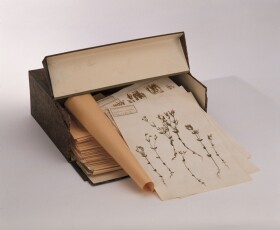 Museo della Fondazione Scienza e Tecnica