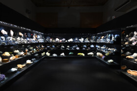 Sistema Museale Di Ateneo – La Specola