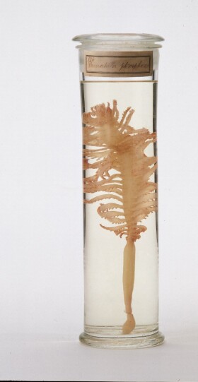 Museo della Fondazione Scienza e Tecnica