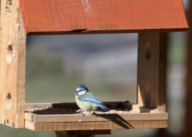 Sistema Museale di Ateneo – Orto Botanico