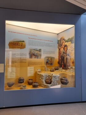 Museo di Storia Naturale del Mediterraneo