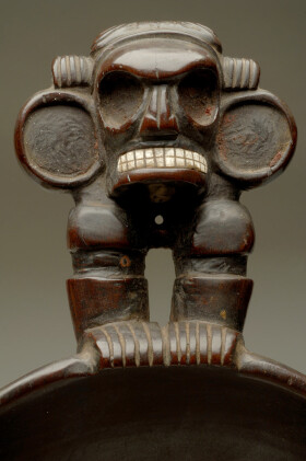 Sistema Museale Di Ateneo– Museo di Antropologia