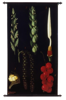 Museo della Fondazione Scienza e Tecnica