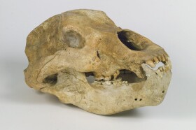 Museo della Fondazione Scienza e Tecnica