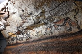 Museo di Storia Naturale del Mediterraneo
