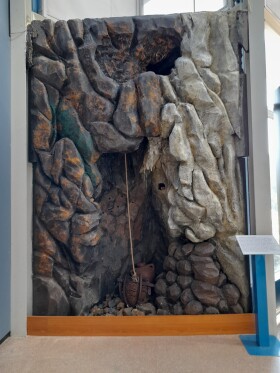 Museo di Storia Naturale del Mediterraneo