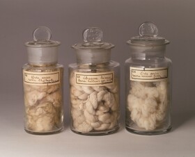 Museo della Fondazione Scienza e Tecnica