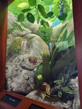 Museo di Storia Naturale del Mediterraneo