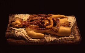 Sistema Museale Di Ateneo – La Specola