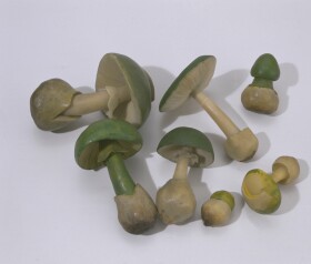 Museo della Fondazione Scienza e Tecnica