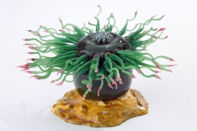 Museo della Fondazione Scienza e Tecnica