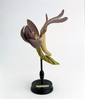 Museo della Fondazione Scienza e Tecnica