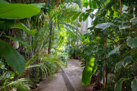 Sistema Museale Di Ateneo – Orto Botanico