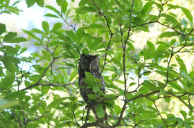 Sistema Museale di Ateneo – Orto Botanico