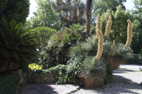 Sistema Museale di Ateneo – Orto Botanico