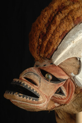 Sistema Museale Di Ateneo – Museo di Antropologia