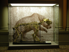 Sistema Museale di Ateneo – Museo di Geologia e Paleontologia