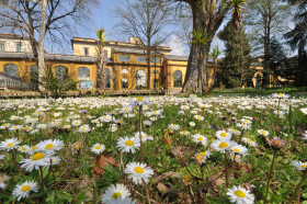 Sistema Museale di Ateneo – Orto Botanico