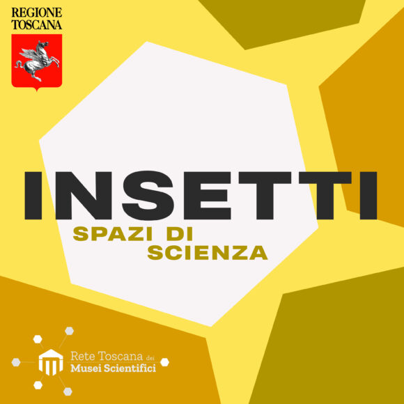 SPAZI DI SCIENZA – STAGIONE 2 EPISODIO 2: “INSETTI”